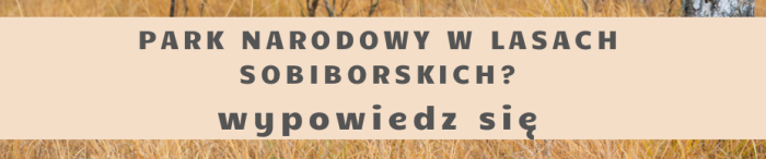 Miniaturka artykułu PARK NARODOWY W LASACH SOBIBORSKICH?