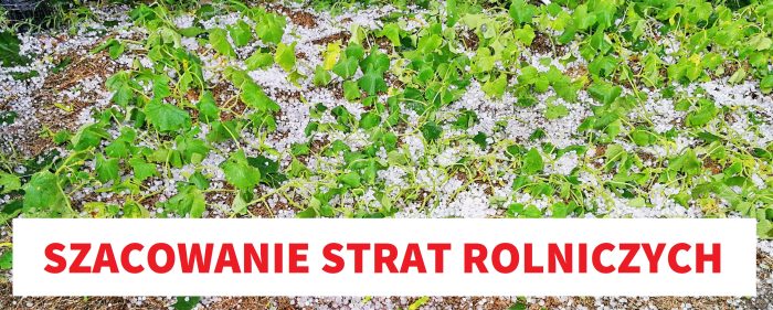 Miniaturka artykułu Szacowanie strat rolniczych