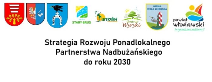 Miniaturka artykułu Konsultacje Strategii Rozwoju Ponadlokalnego